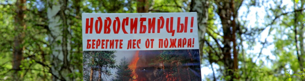 лесные пожары