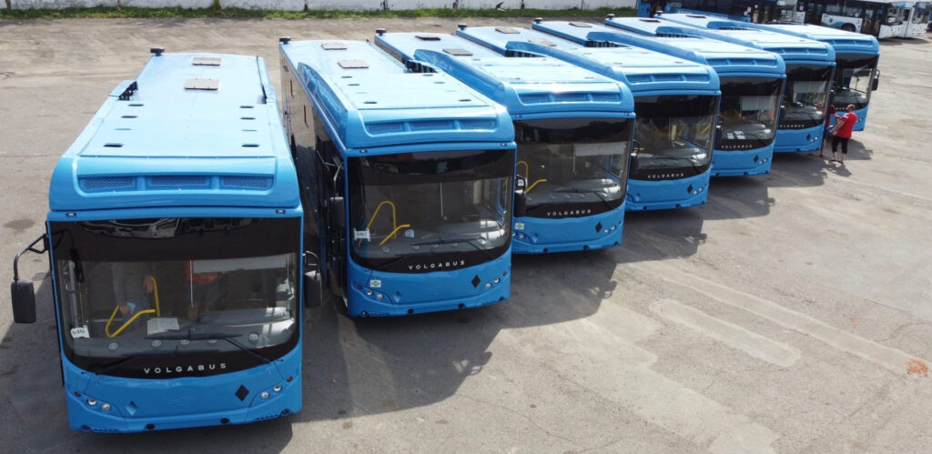автобусы