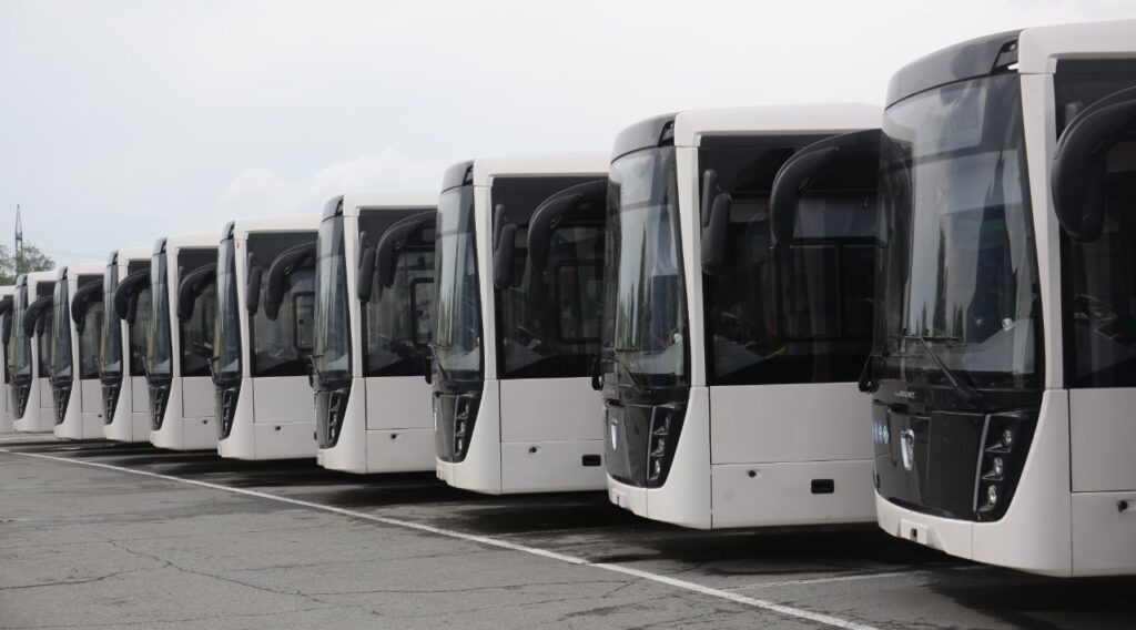 автобусы
