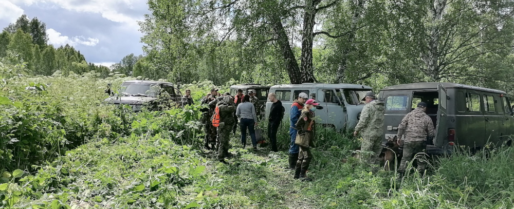 Лиза Алерт