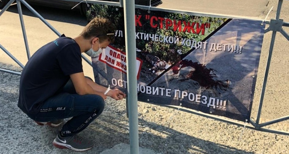 Стрижи