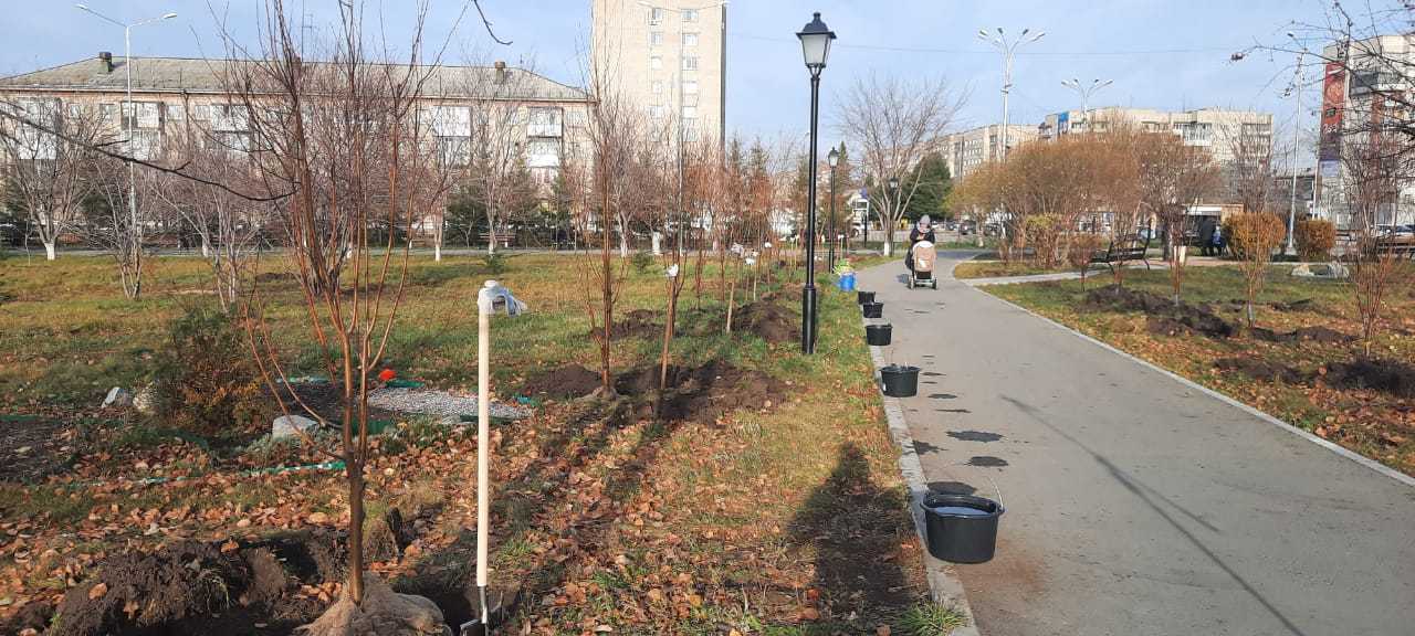 благоустройство, парк