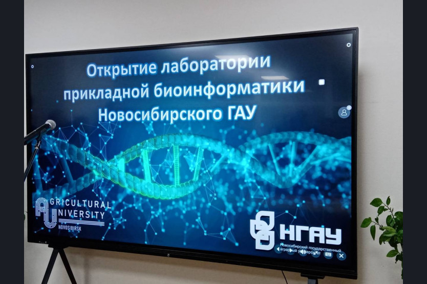 цифровизация