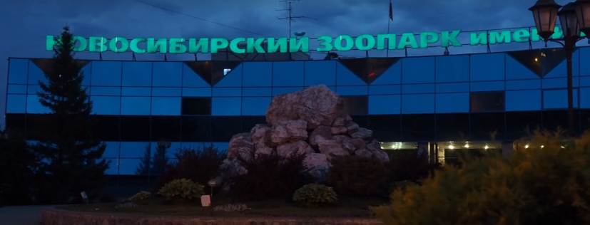 зоопарк вечером