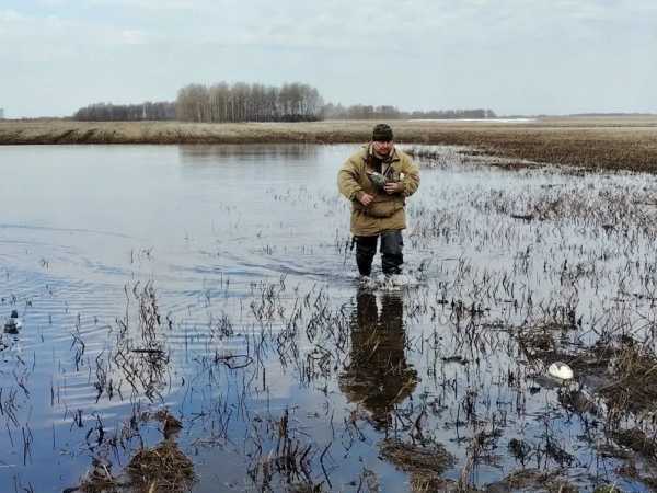 охотник утки Минприроды НСО